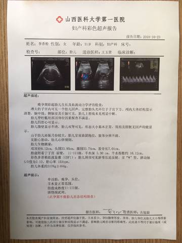 journal_insert_pic_1117184808