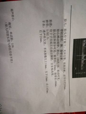 journal_insert_pic_1117272968