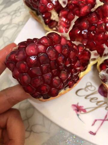 journal_insert_pic_1117742174