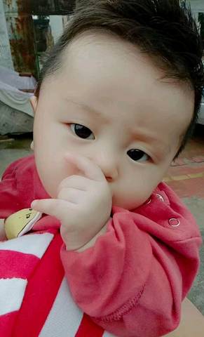 journal_insert_pic_1117994072
