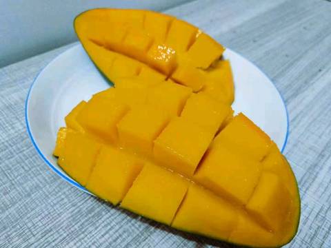 journal_insert_pic_1118045503