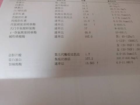journal_insert_pic_1118736516