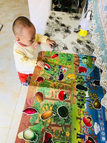journal_insert_pic_1120938106