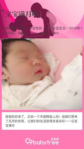 journal_insert_pic_1121295187