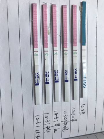 journal_insert_pic_1121539623