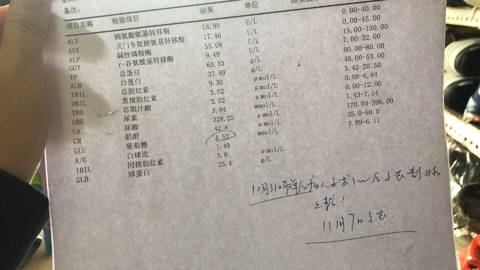 journal_insert_pic_1121392409