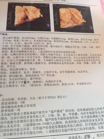journal_insert_pic_1121544481