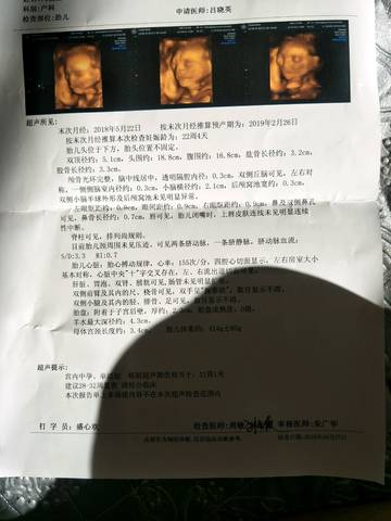 journal_insert_pic_1121925144