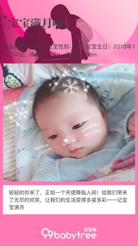 journal_insert_pic_1122184073