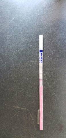 journal_insert_pic_1122800330