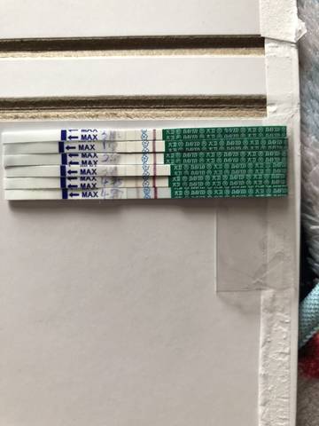 journal_insert_pic_1123847478
