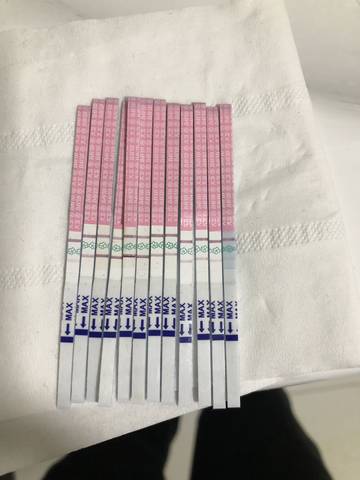 journal_insert_pic_1124707600