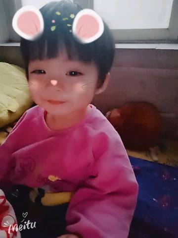 journal_insert_pic_1125265455