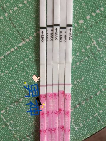 journal_insert_pic_1124984343