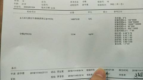 journal_insert_pic_1126017178