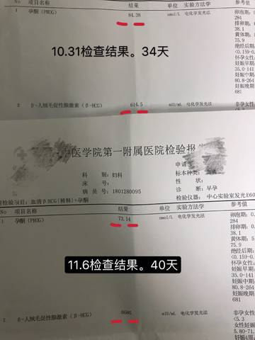 journal_insert_pic_1125657556
