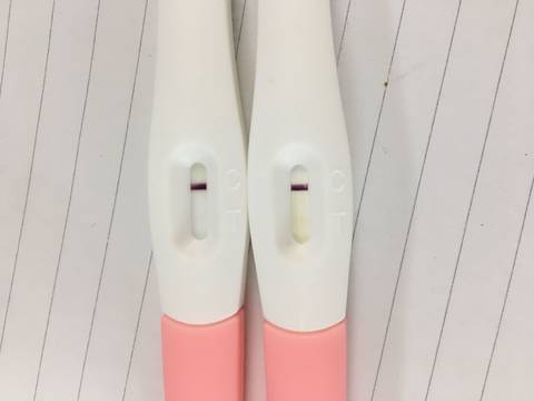 journal_insert_pic_1126295378