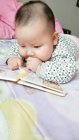 journal_insert_pic_1126327515