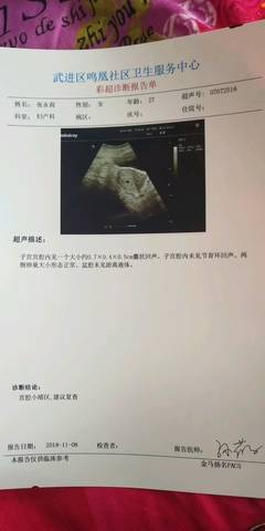 journal_insert_pic_1126983393