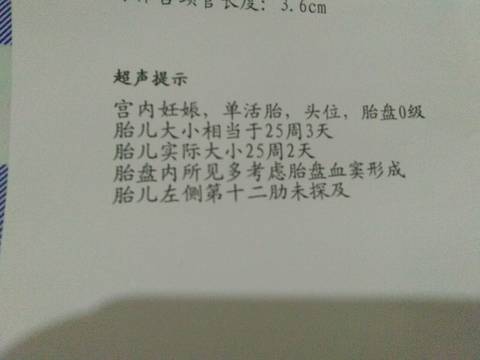 journal_insert_pic_1126945111