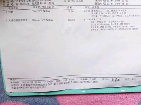 journal_insert_pic_1127167423