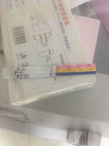 journal_insert_pic_1127417052