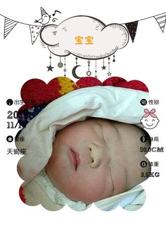 journal_insert_pic_1127110973