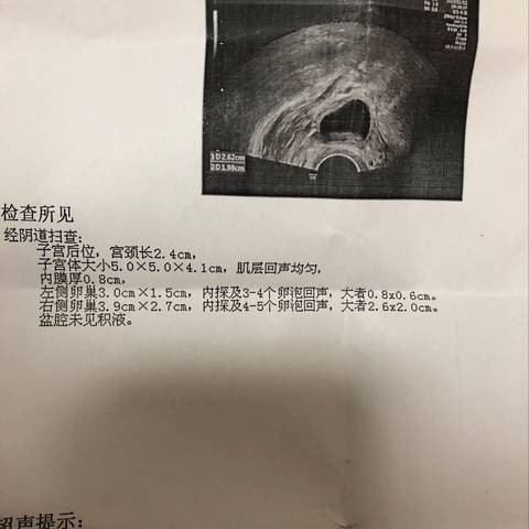 journal_insert_pic_1128372580