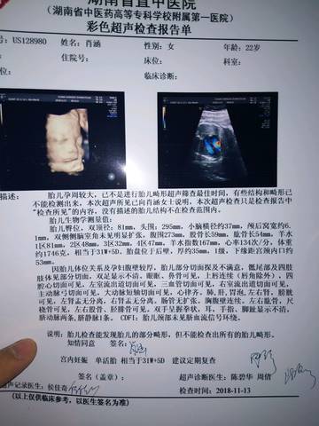 journal_insert_pic_1129048605