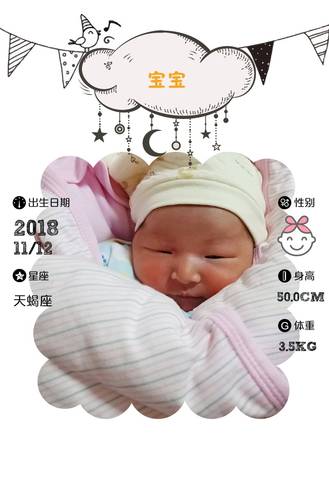 journal_insert_pic_1129152642