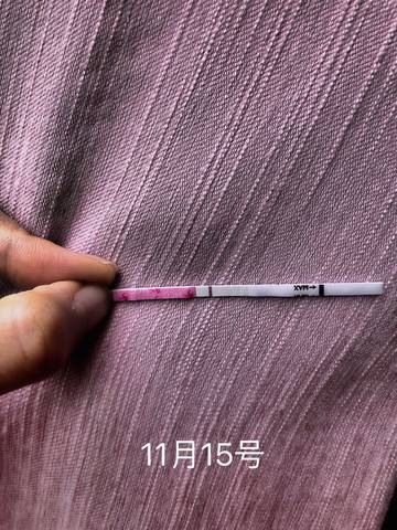 journal_insert_pic_1130024696