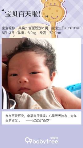 journal_insert_pic_1130124829