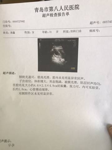 journal_insert_pic_1130035231