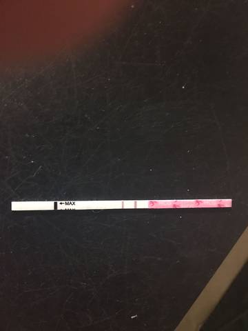 journal_insert_pic_1129995518