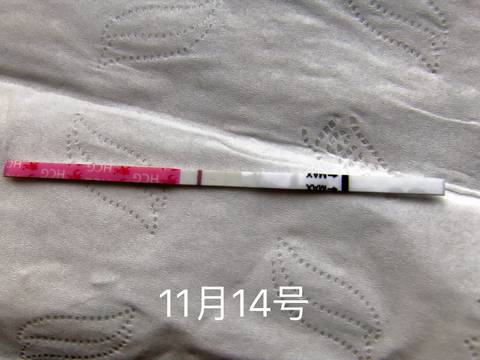 journal_insert_pic_1130024657