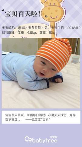 journal_insert_pic_1130394154