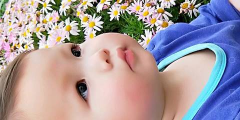 journal_insert_pic_1130770789