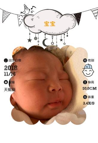 journal_insert_pic_1131216617