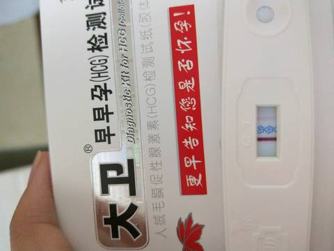 journal_insert_pic_1131338687