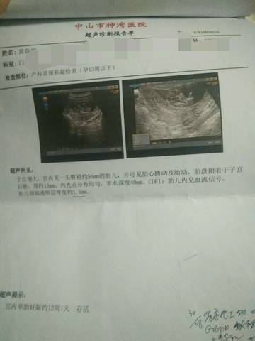 journal_insert_pic_1131266661