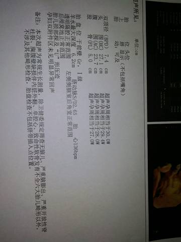 journal_insert_pic_1132006202