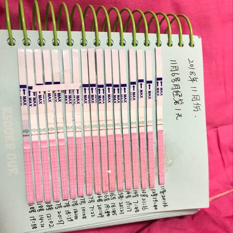 journal_insert_pic_1132231039