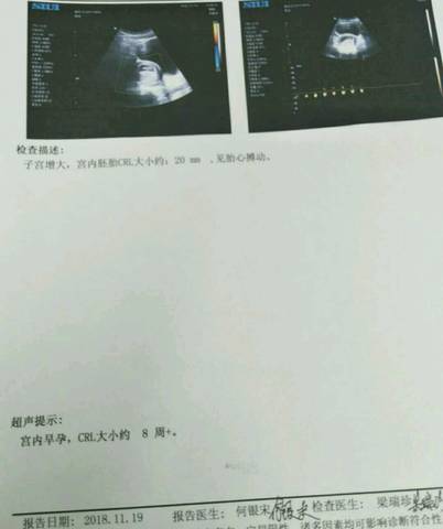 journal_insert_pic_1132647928