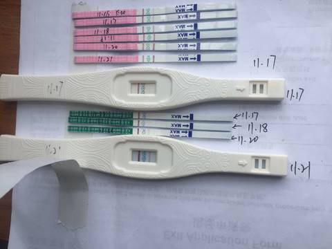 journal_insert_pic_1133917225