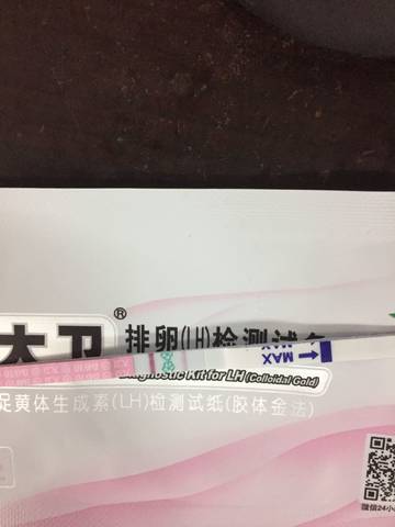 journal_insert_pic_1134069726