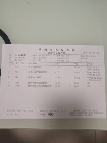 journal_insert_pic_1135138091