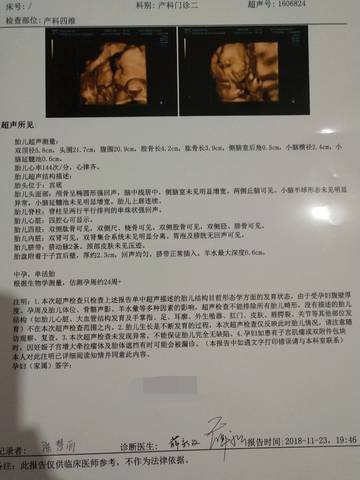 journal_insert_pic_1135460391
