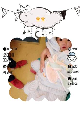 journal_insert_pic_1135179898