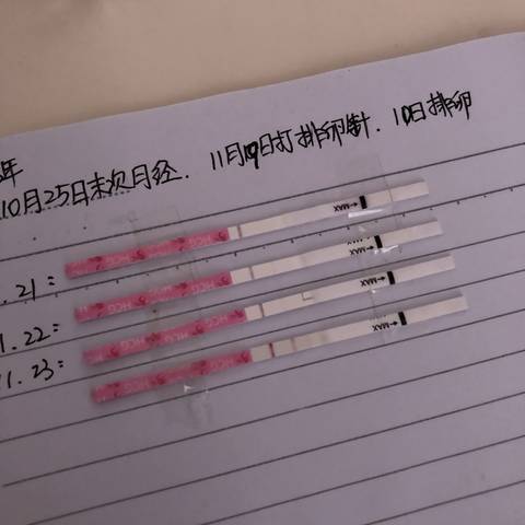 journal_insert_pic_1134952248