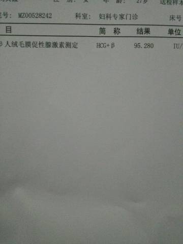 journal_insert_pic_1134953666